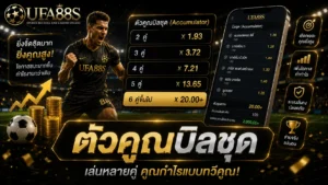 ตัวคูณบิลชุด