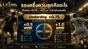 รองครึ่งควบลูกคืออะไร